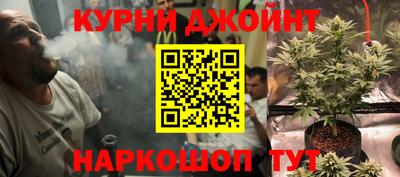 крисы Сланцы