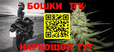 МДПВ Славгород