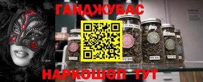 крисы Сланцы