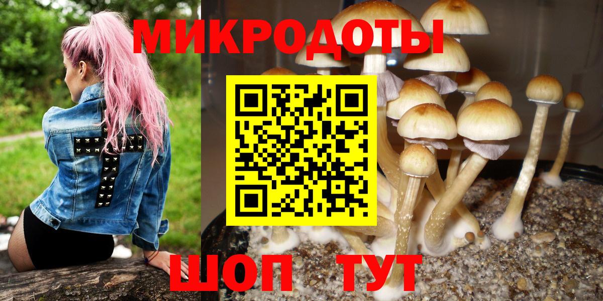 как найти закладки  Вход с VPN  Псилоцибиновые грибы GOLDEN TEACHER  Шебекино  Псилоцибиновые грибы ЛСД 