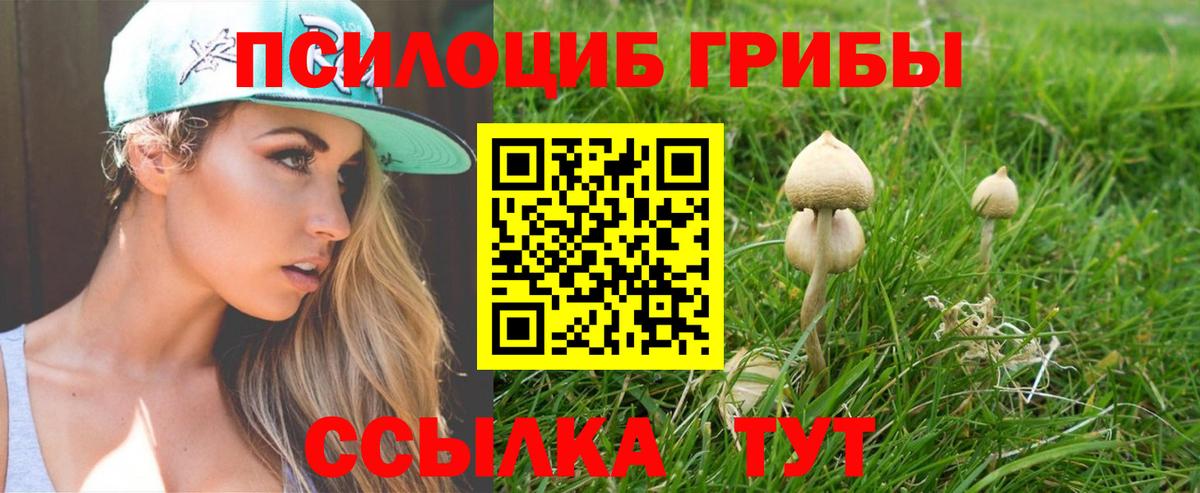 Псилоцибиновые грибы ЛСД Шебекино